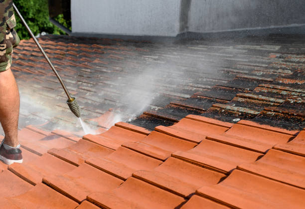 Best Residential Pressure Washing Services  in Port Lavaca, TX